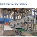 Corn Husk Remover Manufacturer - Fully Automatic Industrial Stainless