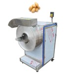 Potato Chips Line Factory - 100 Kg/h Mini Small Scale India