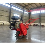 Power Cultivator Manufacturer - 6HP Diesel Single Chain Rail