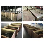 Petrol Engine Manufacturer - Honda GX160 5.5HP Handheld Rammer