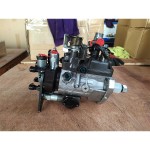 Injection Pump Factory - Spare Part for XC870K Backhoe Loader