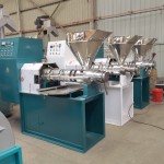Oil Press Machine Manufacturer - Large Capacity Mini Hydraulic Palm Cashew