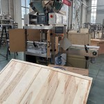 Bottle Filling Machine Supplier - Semi Automatic Syrup Oral Liquid Oil