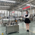 Filling Machine Manufacturer - Large Flow Weighing Capping Production Line