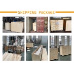 Filling Machine Supplier - Complete Easy to Use Automatic Convenient Line