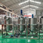 Oil Refining Factory - High Capacity Mini Palm Edible Groundnut