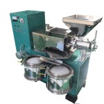 Oil Press Machine Manufacturer - Large Capacity Mini Hydraulic Palm Cashew