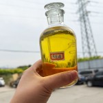 Oil Refining Factory - High Capacity Mini Palm Edible Groundnut