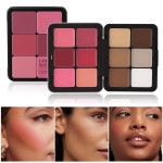 A Multi Purpose Concealer High Gloss Matte 12 Color Iron Box Cheek Red Plate