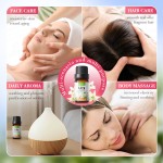 Moisturizing Repair Moisturizing Set of Universal Essence for Nourishing Skin Body Bel Air  Essential Oil