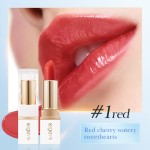 Warm Moisturized Lipstick Glossy Texture Is Not Easy to Fade Moisturizing  Long-lasting Lipstick