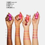 Soft Mist Liquid Natural Carmine Monochrome Powder Blusher Stick 5 Pcs Set