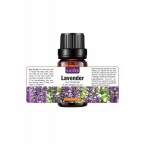 Rose Lavender Rosemary Moisturizing Massage Essential10ml OilPlant Essential Oils