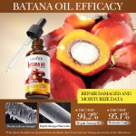 Hair Care Women's Anti Frizz Smooth Repair Dryness Hydration Smoothness Nut Oil Hair Care Essential Oil