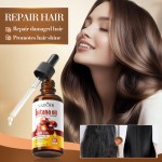 Hair Care Women's Anti Frizz Smooth Repair Dryness Hydration Smoothness Nut Oil Hair Care Essential Oil