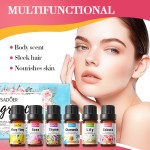 Moisturizing Repair Moisturizing Set of Universal Essence for Nourishing Skin Body Bel Air  Essential Oil