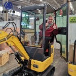 Minibagger Supplier - Rippa Import 1-3.5 Ton China Minibagger Prices
