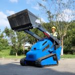 Mini Skid Steer Loader Supplier - Rippa China Home Use EPA CE Diesel