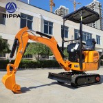 Micro Excavator Supplier - Cheapest 0.8 Ton 800kg Home Use Crawler