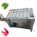 Fruit Washer Machine Factory - High Efficiency Fruit Vegetable Washing