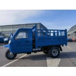 Electrical Tricycle Factory - 2-5 Ton Loading Capacity Long Range Petrol Extender