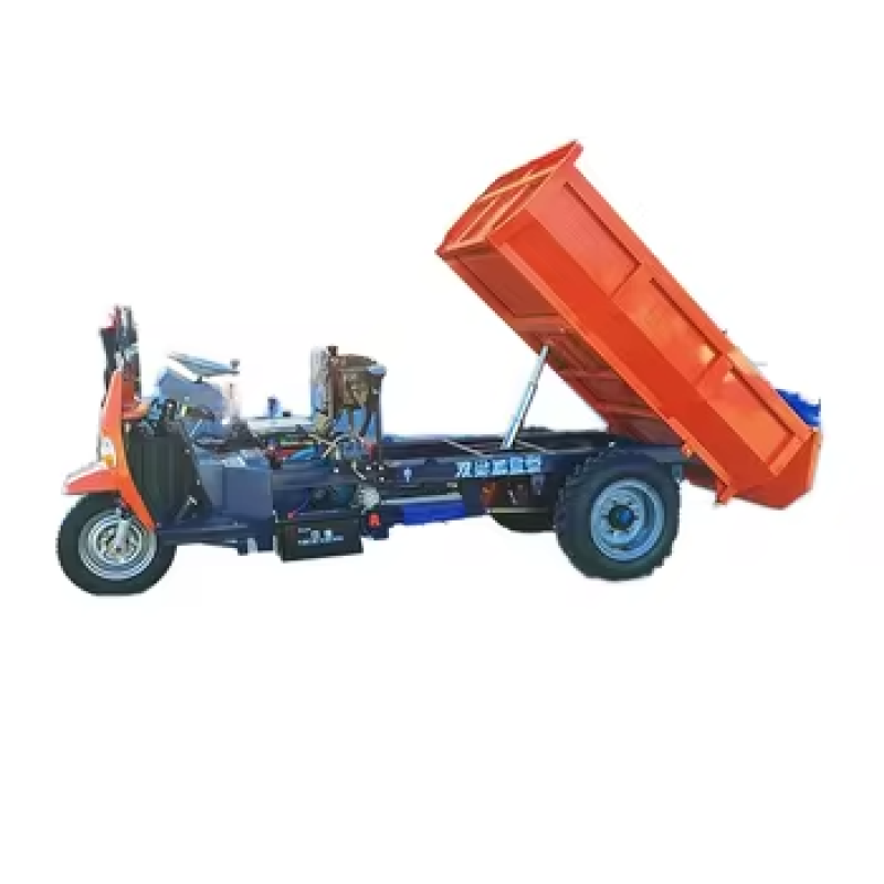 Farming Tricycle Supplier - OEM Orders China Factory Direct Sale Goods Transportation