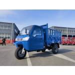 Luxury Tricycle Supplier - Double Seater Maintenance-free Lead-acid Battery Petrol