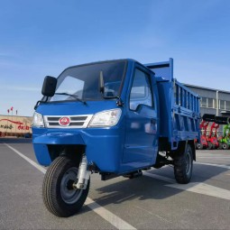 Luxury Tricycle Supplier - Double Seater Maintenance-free Lead-acid Battery Petrol