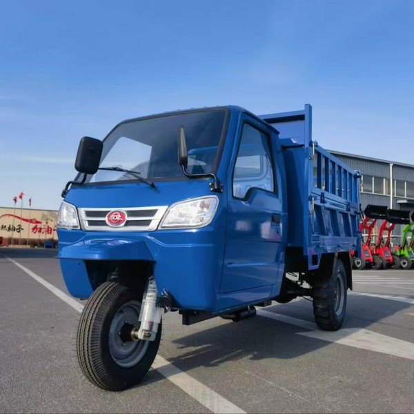 Luxury Tricycle Supplier - Double Seater Maintenance-free Lead-acid Battery Petrol