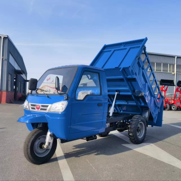 Self Dump Tricycle Supplier - Energy Saving Electrical Heightened Container Gear