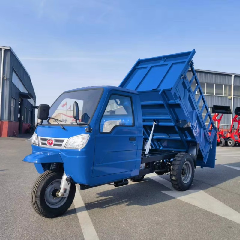 Self Dump Tricycle Supplier - Energy Saving Electrical Heightened Container Gear