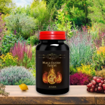 Maca Oyster Herbal Supplement Tablets Pills Capsules for Immune Health & Sports Fitness Strength Enhancement for Adults