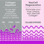 Multi-Collagen Peptides Capsules (Types I II III V X) Anti-Aging & Beauty Softgels for Adults Not for Children
