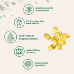 Hot Selling OEM Organic Natural Wild Oregano Oil Softgel Capsules for Adults with Black Seed Oil