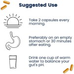 Wholesale OEM Probiotic Capsules Menopause Relief Hormone Balance Supplement for Women Weight Management