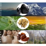 OEM Manufacturer Direct Factory Sale Shilajit Gummies for Men and Women Customizable Logo Label Dosage Form Gummy Candy
