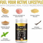 Wholesaler OEM Hot Sale Organic Plant Protein Powder Vegan Protein for Diet Meal Shake 560g