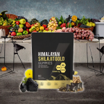 OEM Pure Himalayan Shilajit Gummies Ashwagandha Fulvic Acid Supplement for Adults 60 Piece No Added Sugar