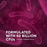 OEM Female Urinary Tract Health Supplements Womens Probiotic 60 Billion CFU Vegan Capsules for Vaginal