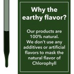 OEM Organic 60ml Chlorophyll Liquid Drops Vegan Energy Supplement Natural Deodorant Immune Support Peppermint Flavor for Adults