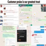 Interlocking Brick Manufacturer - Best Price Manual Logo Outdoor Wall Hydraulic