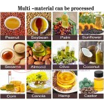 Oil Press Machine Factory - Automatic Cooking Cold Screw Palm Fruit Sunflower