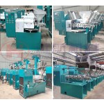 Oil Making Machine Supplier - Sunflower Plant Oil Pressers Cold Press