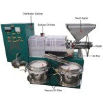 Oil Press Machine Factory - Automatic Cooking Cold Screw Palm Fruit Sunflower