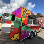 Metal Food Truck Manufacturer - Fully Equipped Ice Cream Pizza Truck with Warranty