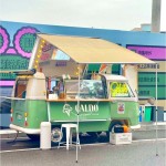 Container Food Truck Manufacturer - Custom Outdoor BBQ Ice Cream Trailer