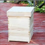 Beehive Manufacturer - 5-Layer Pine Wood Equipment