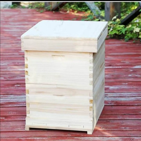 Beehive Manufacturer - 5-Layer Pine Wood Equipment
