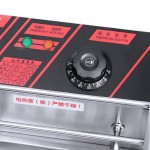Deep Fryer Factory - Commercial Electric Turkey Fryer