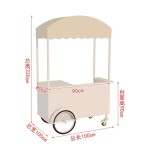 Ice Cream Cart Manufacturer - Small Push Mobile Shaved Ice Cream Freezer